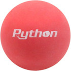Python 3 Ball Can Red Racquetballs  lightning Fast  