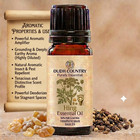 Hing Essential Oil  100  Pure undiluted  And Natural therapeutic Grade Oil