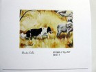 Border Collie Dog Refrigerator Magnetic Notepads Set Of 2 - To Do Grocery Lists