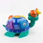 Vintage Baby Einstein Turtle Talking Shape Sorter Toy Works