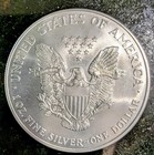  hot Price  American Silver Eagle 1 Oz  999 Fine Colorized - Years Will Vary