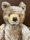1950-60s Steiff 18    Mohair Teddy Bear Jointed Germany Vintage Button   Tag Rare