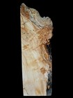 Xl Mind Blowing Spalted Birdseye Maple Burlwood Slab Epoxy Wood Stabilizing Wood