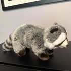 Webkinz Signature Raccoon - No Code