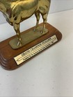 Pair Of  Vtg 1985 Quarter Horse Champion Statue Trophy 11  Bronze Equestrian