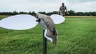Mojo Voodoo Dove Spinning Wing Decoy Hw2300 - Magnetic Wings  Steel Support Pole