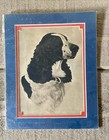 Bert Cobb Dry Point Etching Prints Dogs Pointer   Spaniel Vintage Set 2