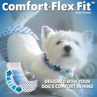 Out  Disposable Male Dog Diapers   Absorbent Male Wraps With Leak Protection    