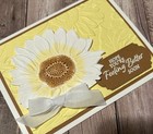 Get Well Greeting Card Kit X4  stampin Up Sunflower Embossing Folder Feel Better