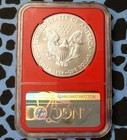 2019 Ngc Ms 70 American Silver Eagle Dollar  Red-core Slab  1oz  999 Silver  1