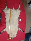 Tanned Bobcat Pelt With Feet  Soft Winter Fur 