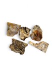 Plume Agate Slabs Oregon 102 1 Grams 