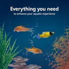 Aqueon 10-gallon Aquarium Starter Kit Led Light Smartclean Filter 50w Heater