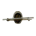 Antique Victorian Egyptian Single Real Scarab Beetle Silver Brooch Pin