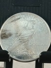 1934-d  Peace Dollar Uncirculated Details Better Date 