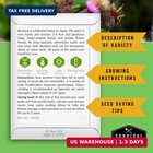Advanced Medicinal Herb Seeds Collection - Variety Pack For Planting With Planta