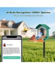 Smart Bird Feeder With Solar Hd Camera Ai Recognition Waterproof Auto Capture