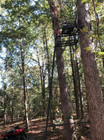 15 5  Tall Ladder Tree Stand With Mesh Seat Adjustable Rail Hunting Shoot Deer