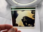 Interstellar 70mm Imax Film Cell - Gargantua Endurance Near Black Hole