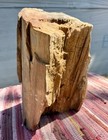 Price Drop   Huge  47 8  3 4 Round Freestanding Petrified Wood Log  unbelievable