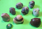 9 Pet Rock Pals 2009 I Star Entertainment Nostalgic Toy Chip Rocky Stirk Granite