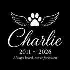 Pet Stone  Memorial  Grave Marker Granite Plaque  Headstone Dog Cat Memorial 6x6