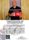 Iron Mike Tyson Autographed Signed Everlast Boxing Glove Asi Proof