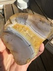 Mfrb Of Old Stock Rocks  14 Pounds Agate Jasper Wood Rough
