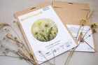 Cross Stitch Kit - It s Time To Fly