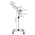 Facial Steamer Hot Ozone Professional Beauty Salon Spa Skin Care Equipment