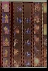 Prince Live 4 15 93 Universal Ampitheater Singing Sexy Mfer 72 Total 35mm Negs