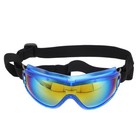  Dog Goggles Uv Protection Pet Glasses Motorcycle For Medium Dogs Doggles