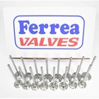 Ferrea 6000 Series Valves Std Size Honda Acura B16a B18c Dohc Vtec B-series Gsr