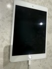 Apple Ipad Mini 3 A1599 16gb  Wi-fi  7 9  Excellent Condition