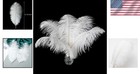 Natural 8-10 Inch White Ostrich Feathers  24 Pcs  For Wedding Decor   Crafts