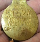 1950 Oak Ridge Tennessee Dog Pound License Tag Cax