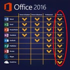 Microsoft Office 2016 Professional Plus    Pro Plus 2016 3pc Usb Drive