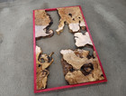 Live Edge Olive Root Slab Set For Diy River Table  Ready To Be Resin Table 20x32