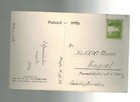 1929 Haifa Palestine Real Picture Postcard Cover To Czechoslovakia Palm Grove