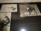 Vintage Film Negative Assorted Photos With Dogs Collage Artwork 21x24 1 4 