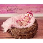 New Soft Pink Mongolian Faux Fur And Wood Branch Nest Photography Prop