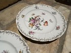 Pair Of Antique Levinsohn Dresden Style Hand Painted Floral Gold 8 Inch Plates