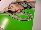 Ultra Rare Lady Gaga Artpop Poster Litho Artrave