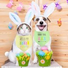 Easter Dog Bandana  2 Pack Adjustable Holiday Party Pets Easter Egg Rabbit 