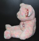Ty Beanie Buddy Bear Celebrate Ty 15 Yrs Anniv 2001 New W tag 14  Retired  bb541