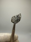 Ksar Ghilane 022 Meteorite Rare 3 0 Gram Full Slice Ungrouped Achondrite