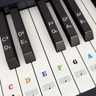 Piano Keyboard Stickers For 88 61 54 49 37 Key Bold 