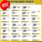 40pcs Electric Motor Carbon Brushes  10 Sizes   For Power Tools   Motors - Us