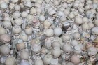 Huge Lot Of 200 Vintage Precious Moments Enesco Assorted Figurines