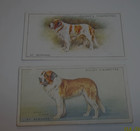 Lot Of 8 Vintage Tobacco cigarette Cards Saint Bernards player wills more